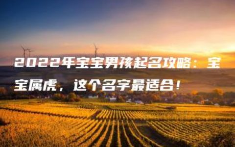 2022年宝宝男孩起名攻略：宝宝属虎，这个名字最适合！