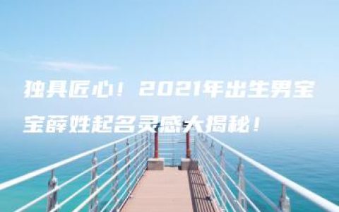 独具匠心！2021年出生男宝宝薛姓起名灵感大揭秘！