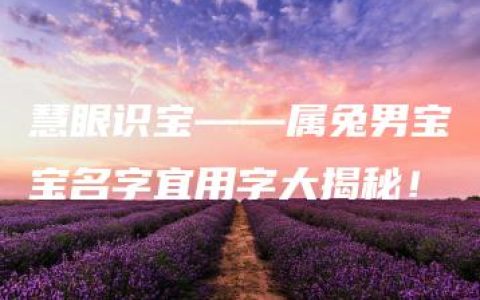 慧眼识宝——属兔男宝宝名字宜用字大揭秘！