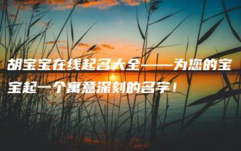 胡宝宝在线起名大全——为您的宝宝起一个寓意深刻的名字！