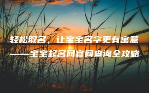 轻松取名，让宝宝名字更有寓意——宝宝起名网官网查询全攻略