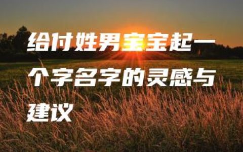 给付姓男宝宝起一个字名字的灵感与建议