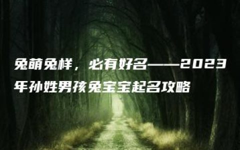 兔萌兔样，必有好名——2023年孙姓男孩兔宝宝起名攻略