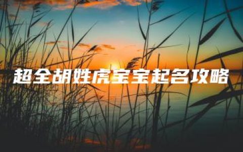 超全胡姓虎宝宝起名攻略