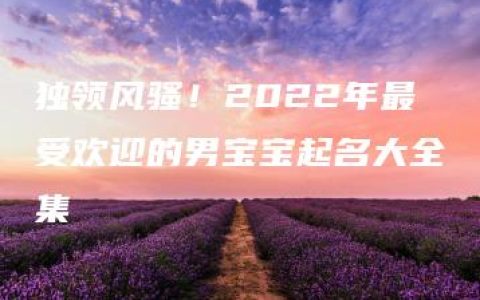 独领风骚！2022年最受欢迎的男宝宝起名大全集