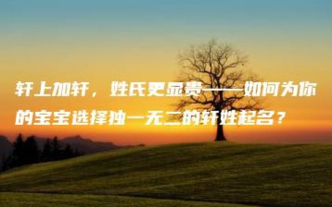 轩上加轩，姓氏更显贵——如何为你的宝宝选择独一无二的轩姓起名？