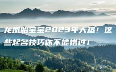 龙凤胎宝宝2023年大热！这些起名技巧你不能错过！