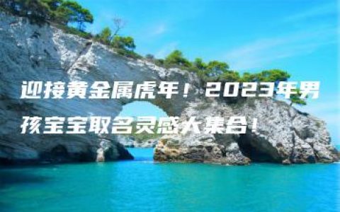 迎接黄金属虎年！2023年男孩宝宝取名灵感大集合！