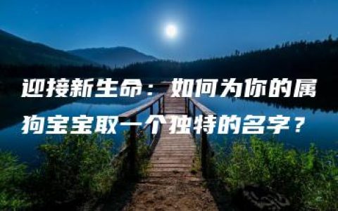 迎接新生命：如何为你的属狗宝宝取一个独特的名字？