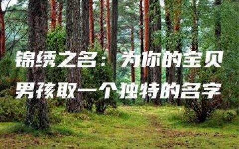 锦绣之名：为你的宝贝男孩取一个独特的名字