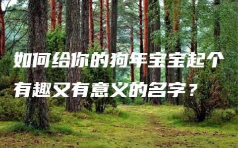 如何给你的狗年宝宝起个有趣又有意义的名字？