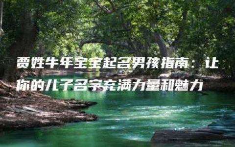 贾姓牛年宝宝起名男孩指南：让你的儿子名字充满力量和魅力