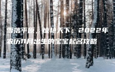 雪落平原，惊艳天下：2022年农历11月出生的宝宝起名攻略