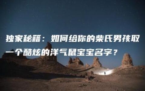 独家秘籍：如何给你的柴氏男孩取一个酷炫的洋气鼠宝宝名字？