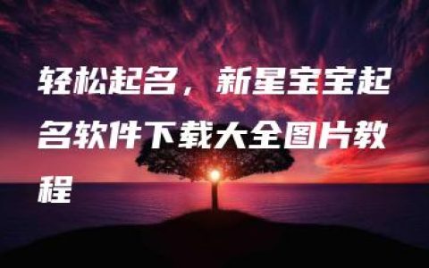 轻松起名，新星宝宝起名软件下载大全图片教程