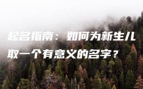 起名指南：如何为新生儿取一个有意义的名字？