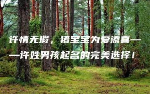 许情无瑕，猪宝宝为爱添喜——许姓男孩起名的完美选择！