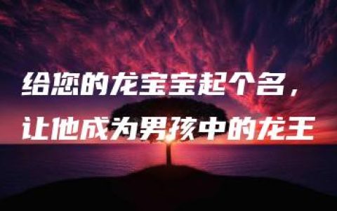 给您的龙宝宝起个名，让他成为男孩中的龙王