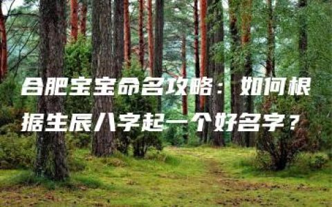 合肥宝宝命名攻略：如何根据生辰八字起一个好名字？