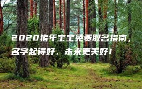 2020猪年宝宝免费取名指南，名字起得好，未来更美好！