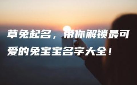 草兔起名，带你解锁最可爱的兔宝宝名字大全！