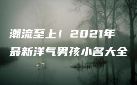 潮流至上！2021年最新洋气男孩小名大全