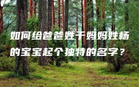 如何给爸爸姓于妈妈姓杨的宝宝起个独特的名字？