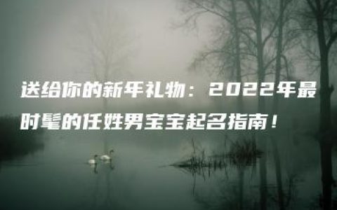 送给你的新年礼物：2022年最时髦的任姓男宝宝起名指南！