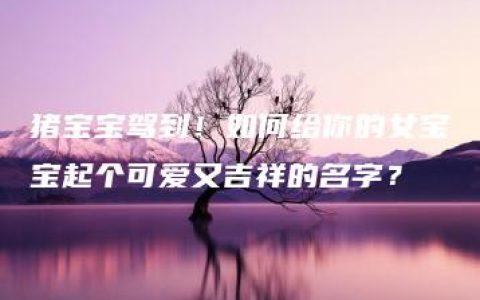 猪宝宝驾到！如何给你的女宝宝起个可爱又吉祥的名字？