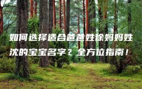 如何选择适合爸爸姓徐妈妈姓沈的宝宝名字？全方位指南！