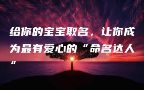 给你的宝宝取名，让你成为最有爱心的“命名达人”