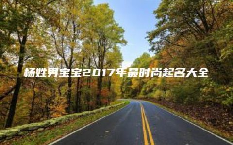 杨姓男宝宝2017年最时尚起名大全