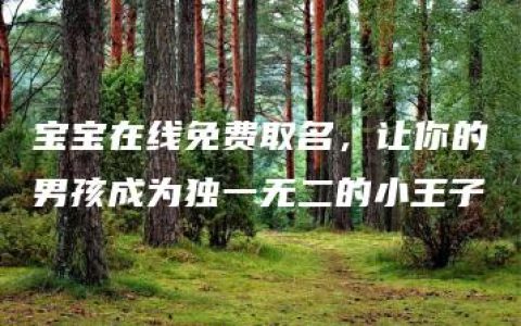 宝宝在线免费取名，让你的男孩成为独一无二的小王子