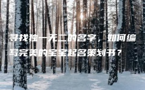 寻找独一无二的名字，如何编写完美的宝宝起名策划书？