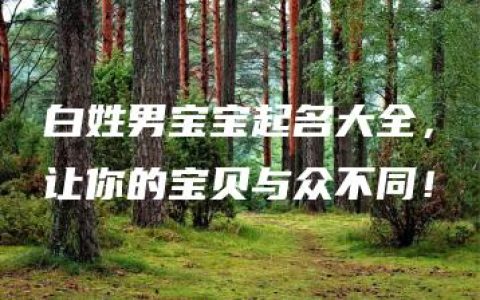 白姓男宝宝起名大全，让你的宝贝与众不同！