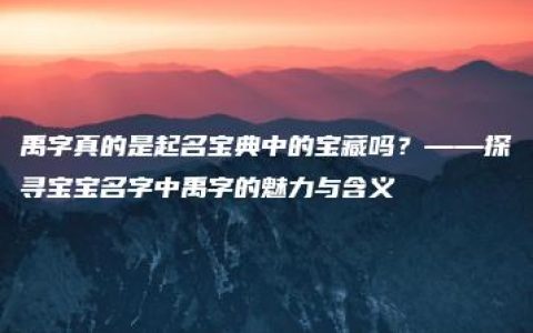 禹字真的是起名宝典中的宝藏吗？——探寻宝宝名字中禹字的魅力与含义