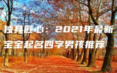 独具匠心：2021年最新宝宝起名四字男孩推荐