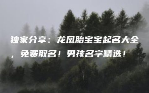 独家分享：龙凤胎宝宝起名大全，免费取名！男孩名字精选！