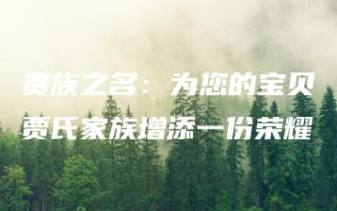 贵族之名：为您的宝贝贾氏家族增添一份荣耀