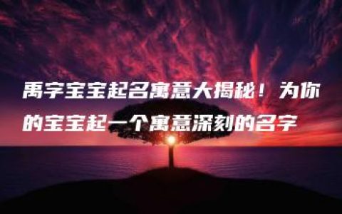 禹字宝宝起名寓意大揭秘！为你的宝宝起一个寓意深刻的名字