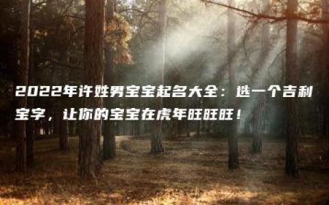 2022年许姓男宝宝起名大全：选一个吉利宝字，让你的宝宝在虎年旺旺旺！