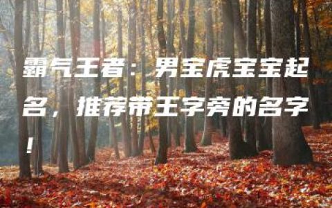 霸气王者：男宝虎宝宝起名，推荐带王字旁的名字！