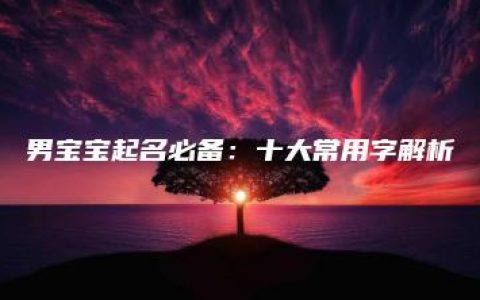 男宝宝起名必备：十大常用字解析