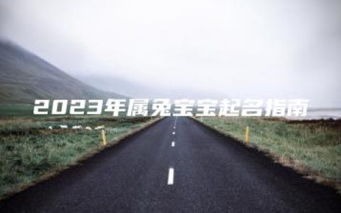 2023年属兔宝宝起名指南