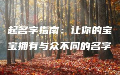 起名字指南：让你的宝宝拥有与众不同的名字