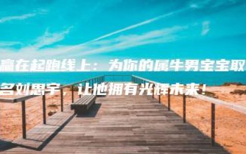 赢在起跑线上：为你的属牛男宝宝取名刘思宇，让他拥有光辉未来！