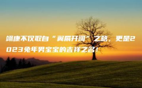 翊康不仅取自“翼展开阔”之意，更是2023兔年男宝宝的吉祥之名！