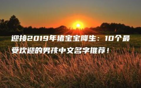 迎接2019年猪宝宝降生：10个最受欢迎的男孩中文名字推荐！