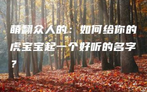 萌翻众人的：如何给你的虎宝宝起一个好听的名字？