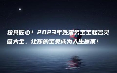 独具匠心！2023年姓宋男宝宝起名灵感大全，让你的宝贝成为人生赢家！